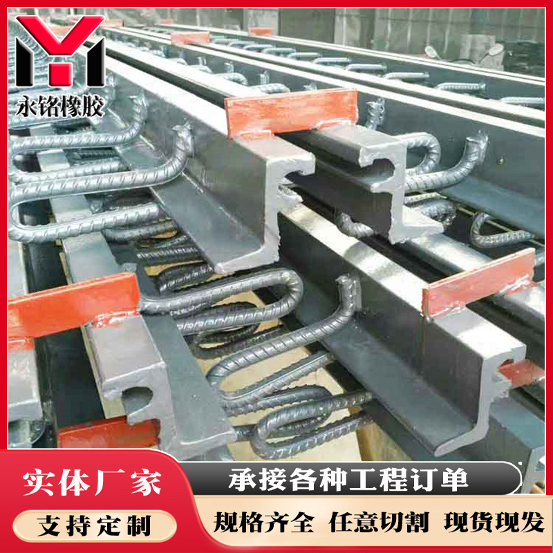 公路伸缩缝C/F/Z型伸缩缝变形缝模数式伸缩缝梳齿型桥梁伸缩装置