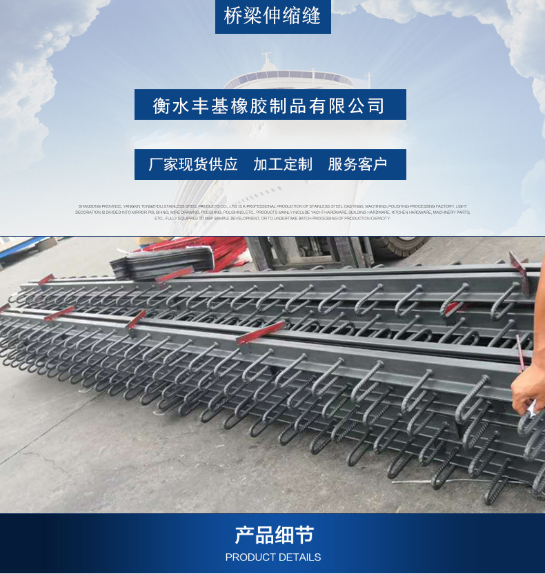 桥梁伸缩缝详情_01.jpg