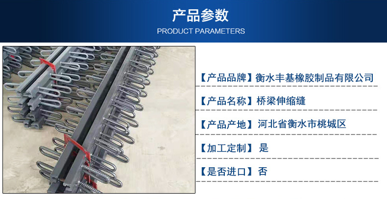 桥梁伸缩缝详情_04.jpg