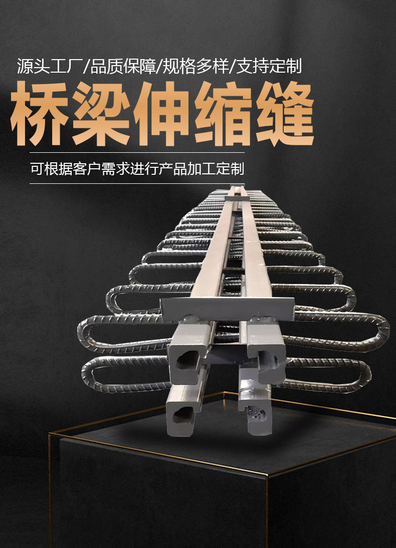春弘桥梁伸缩缝详情图_01.jpg