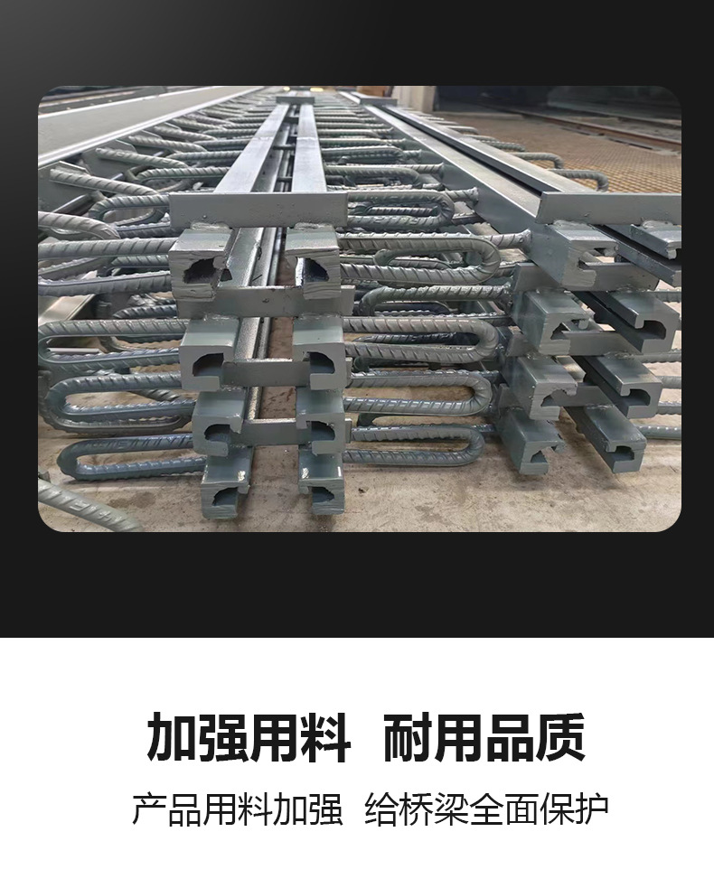 春弘桥梁伸缩缝详情图_04.jpg