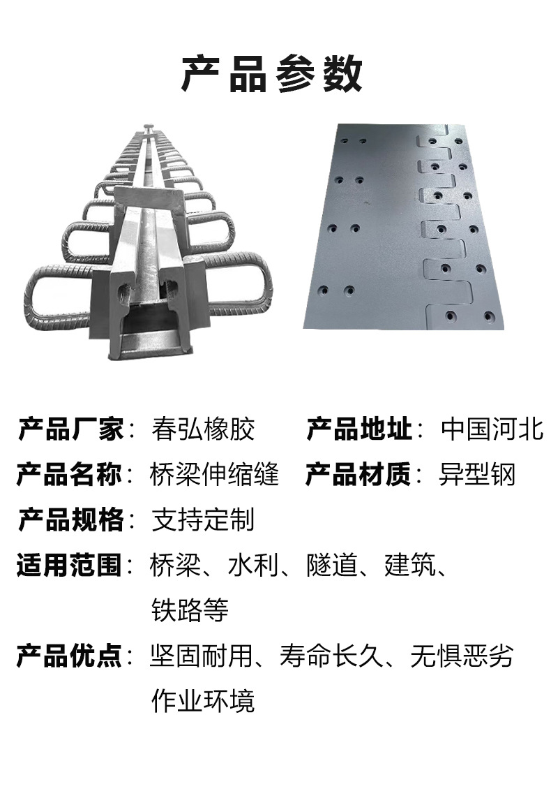 春弘桥梁伸缩缝详情图_07.jpg