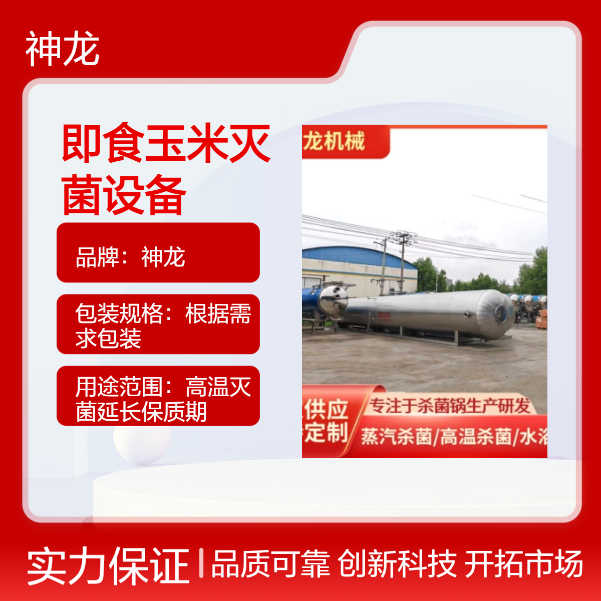 神龙高温灭菌釜 釜式定制款13千瓦380V 即食玉米灭菌设备源头厂家