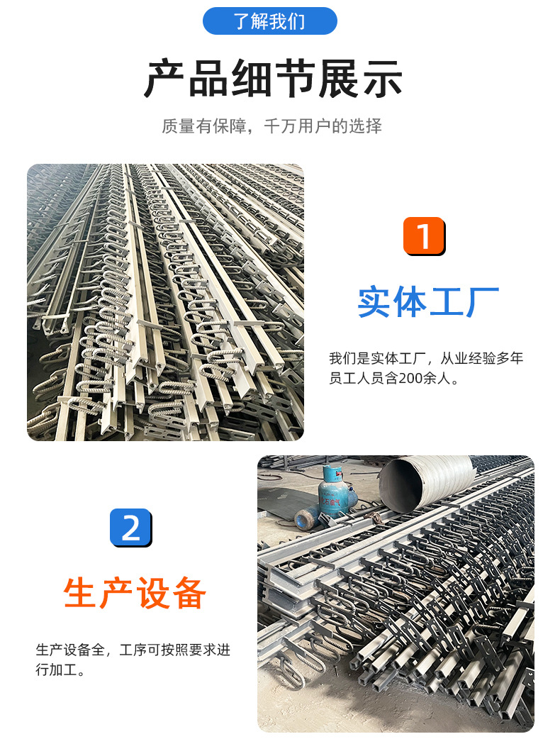 桥梁伸缩缝详情_03.jpg