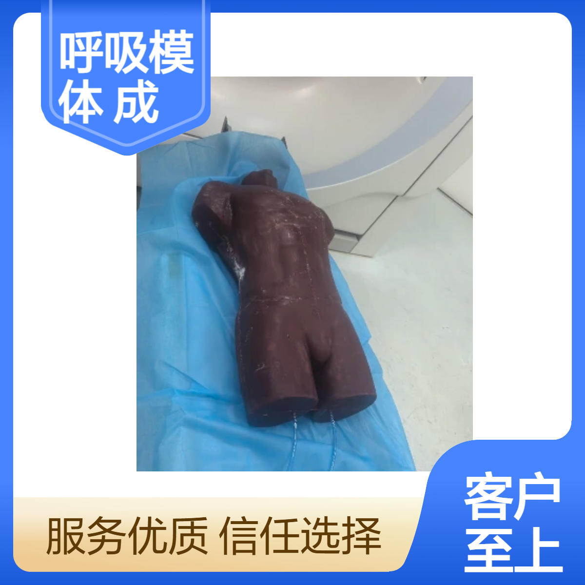 运动呼吸模体CT扫描体模核磁扫描成像模型定做