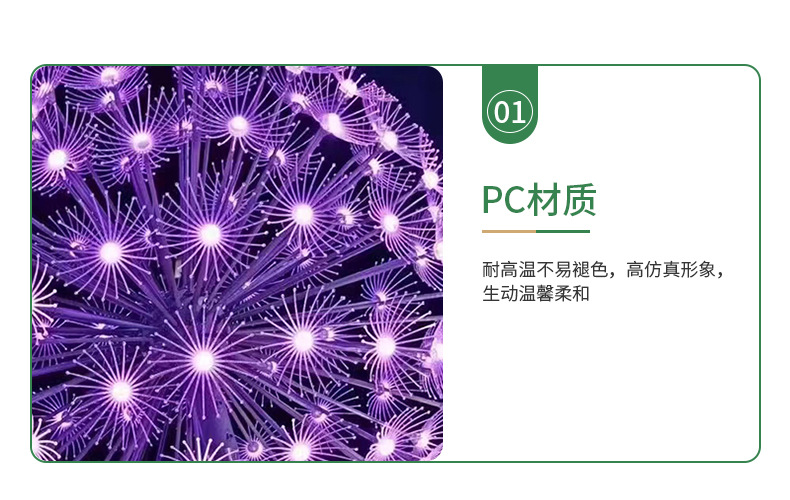 详情_21.jpg