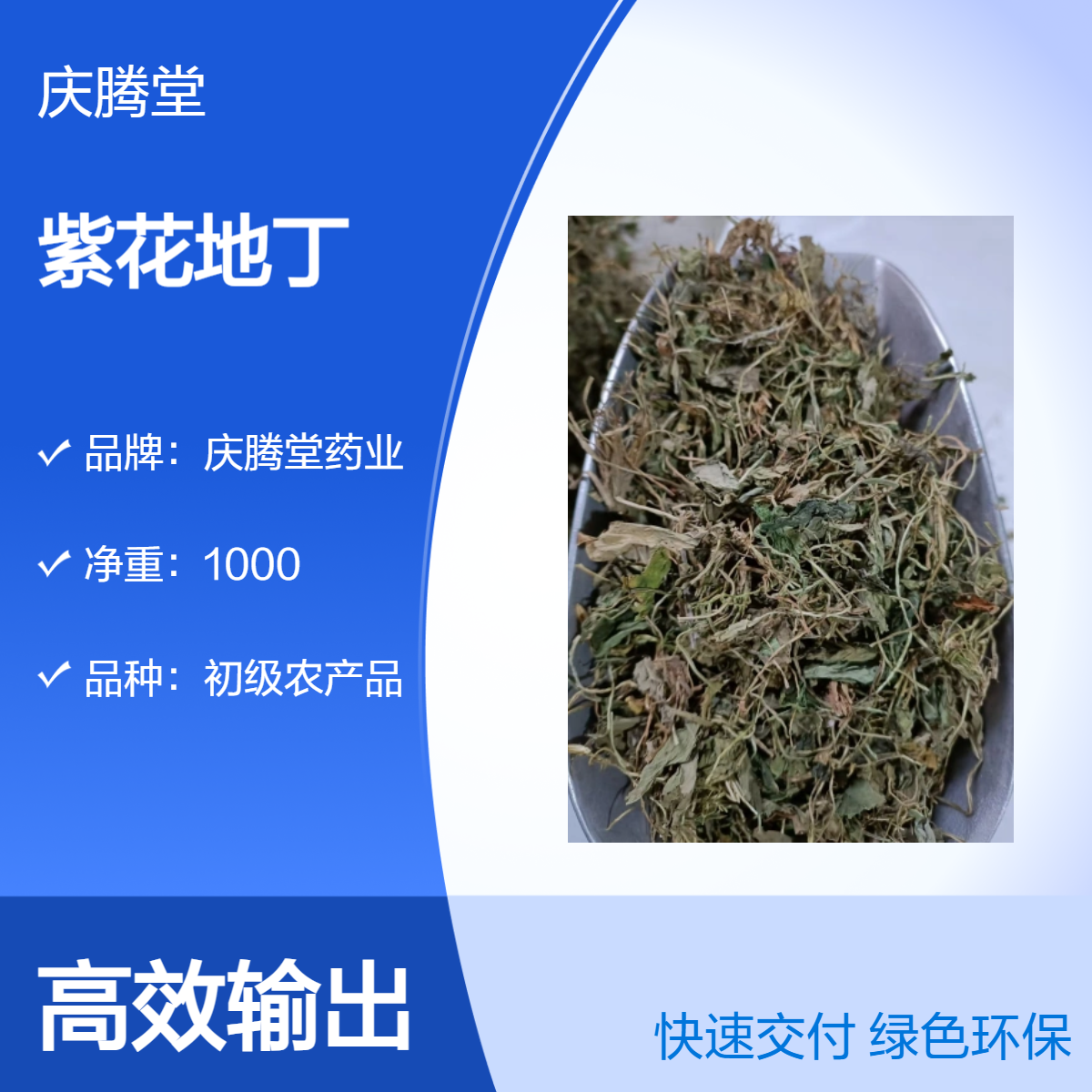 紫花地丁 蒲公英 旱莲草 当季新货 无硫 自然晒干 常年供应各种中草药