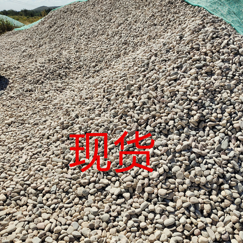 微信图片_20210121151853_副本