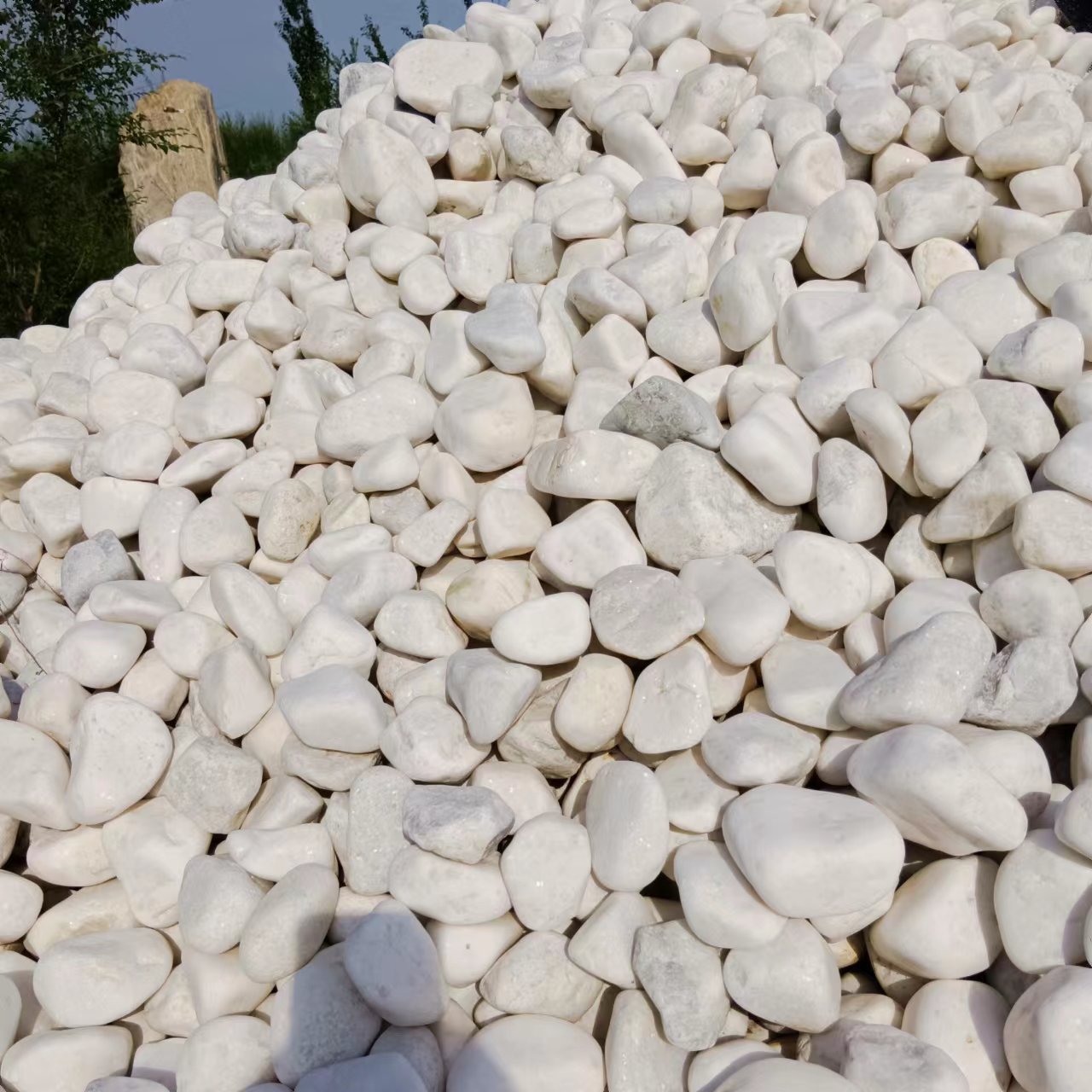 白石子水磨地用估山水造景水磨石白色鹅卵石装饰用白碎石卵石