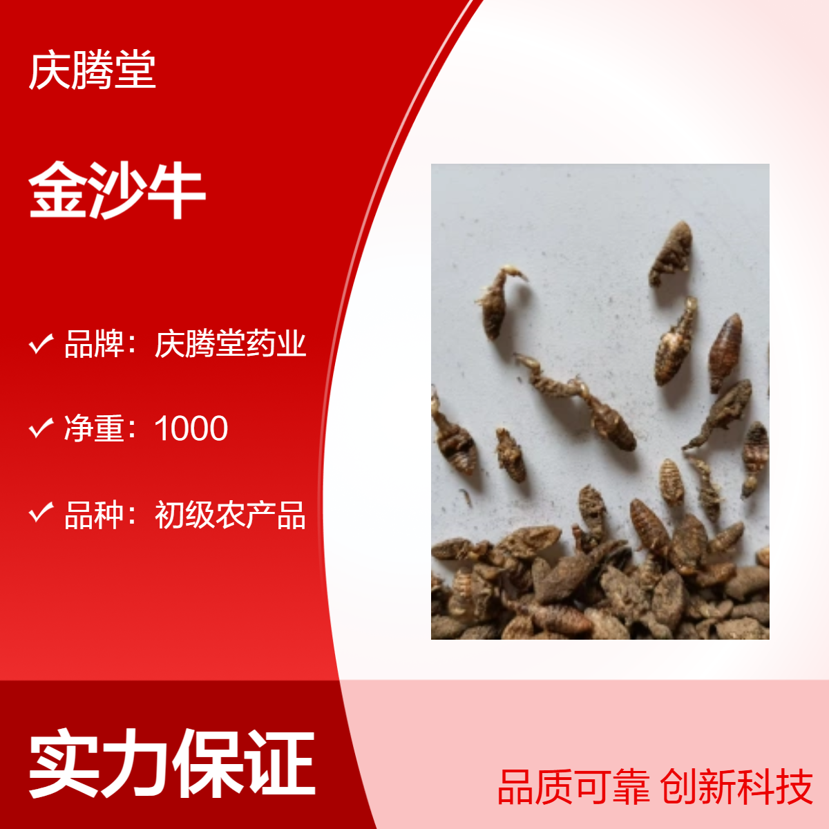 中药材金沙牛 地牯牛 新货 产地直发 精选 自然晒干 好品质