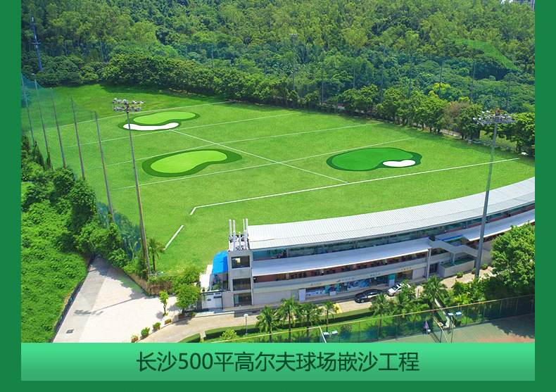 高尔夫果岭_15