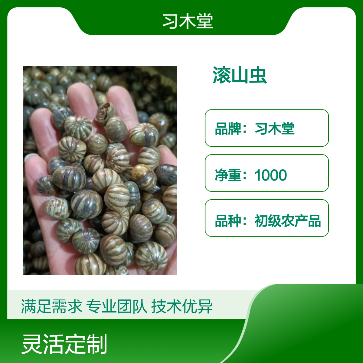 滚山虫 地罗汉 新货 干品 无硫 自然晒干 精选 各种昆虫批发零售