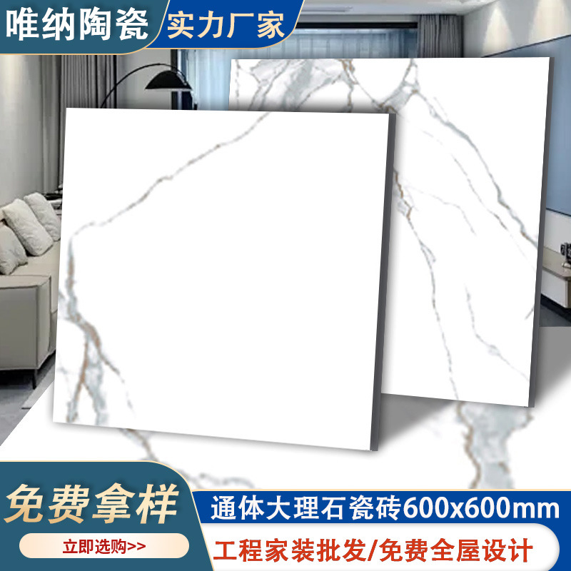 定制佛山通体大理石瓷砖室内装修防水耐磨600x600地砖瓷砖批发