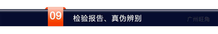 09.检验报告、真伪辨别