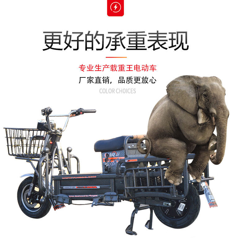 大象