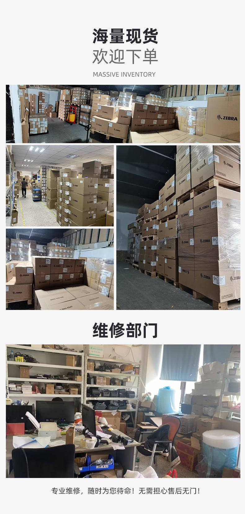 斑马_16.jpg