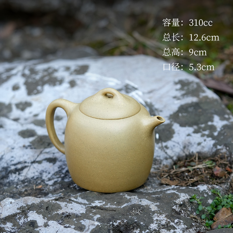9CQ6宜兴紫砂壶潘晔手工泡茶壶茶具家用套装原矿段泥绘翠鸟秦权