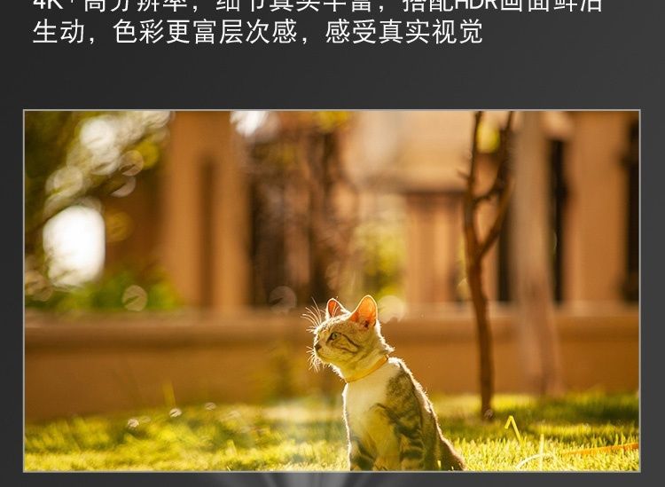 详情图05