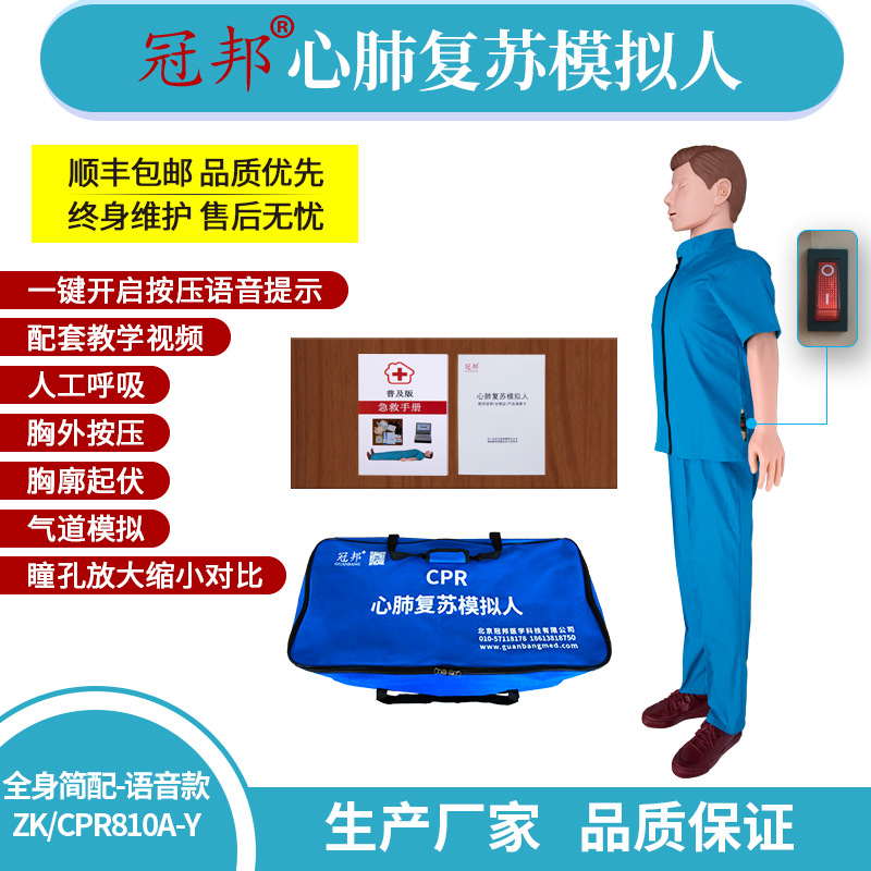 全身心肺复苏模拟人（简配） 急救教学模型 训练模型 ZK/CPR810A