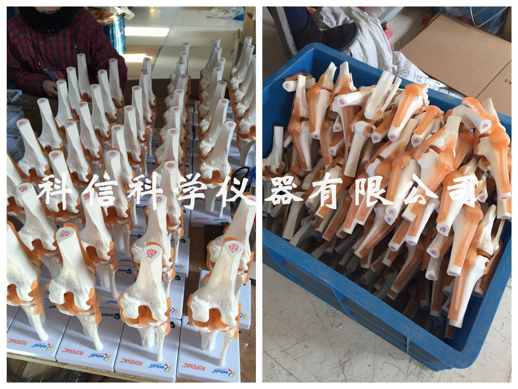 产品定制图