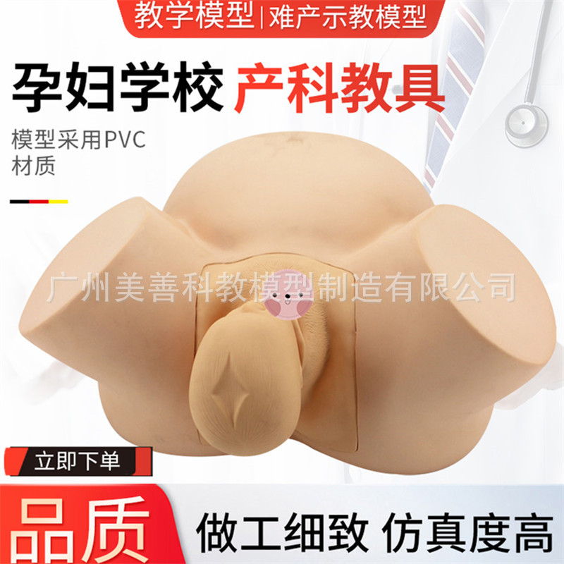 分娩示教模型 高级难产示教训练模型妇产科难产助产分娩教学模型