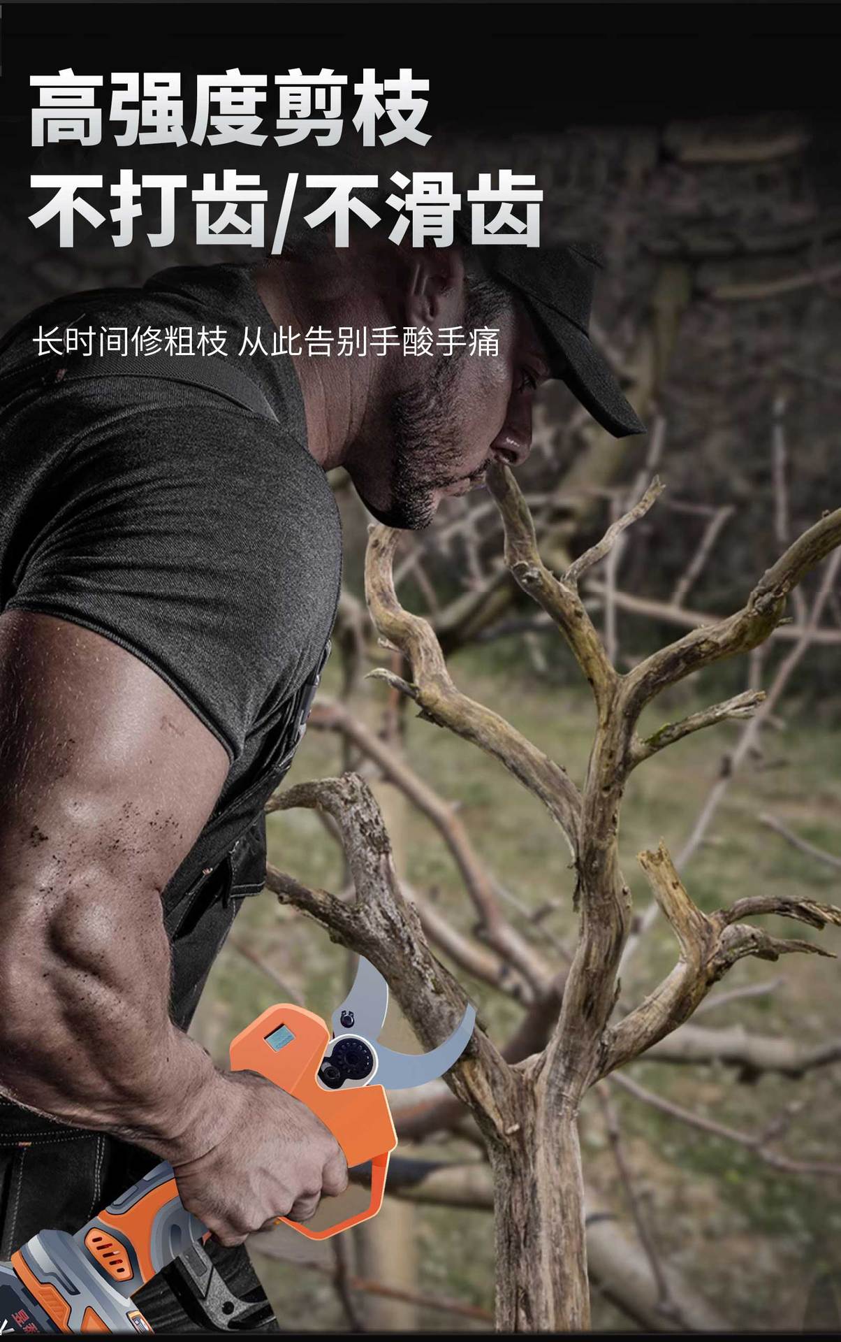 未标题-1_05