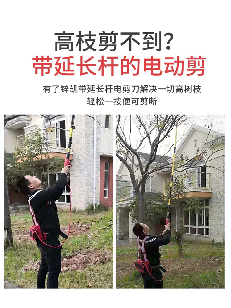 微信图片_20200220193713