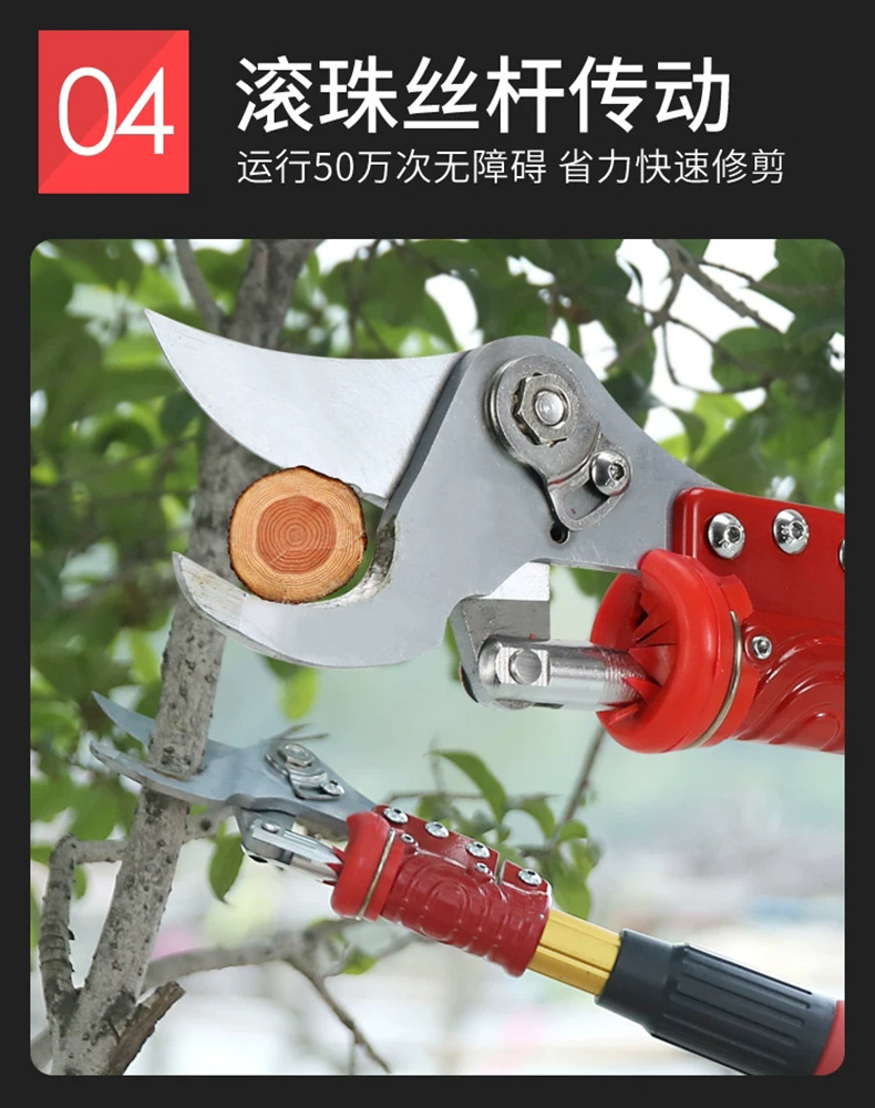 微信图片_20200220194528