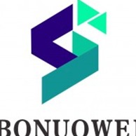 Sichuan Bonoway Energy Technology Co., Ltd - Company Logo