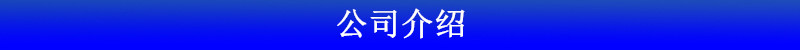 公司介绍