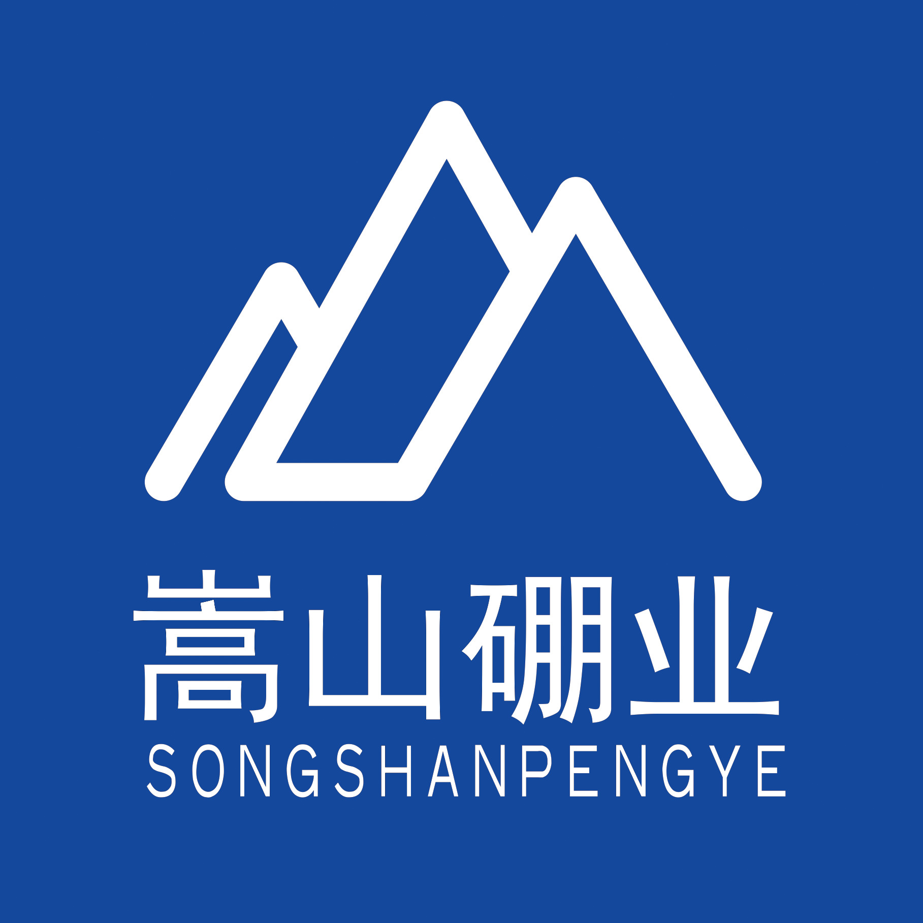 郑州嵩山硼业科技有限公司