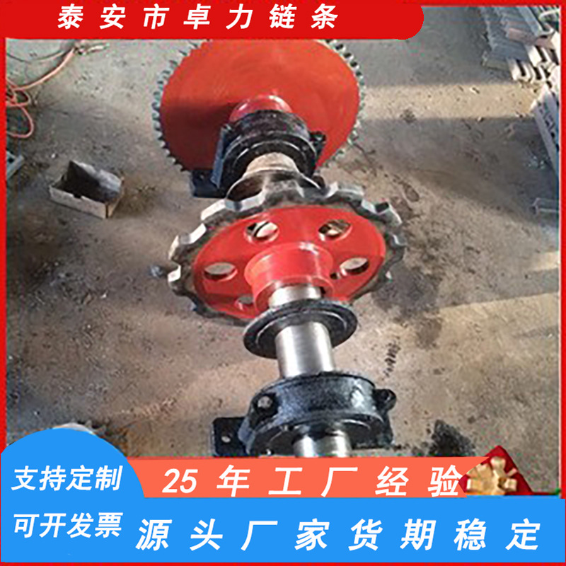 定制链轮厂家生产经济 NE30工业斗式提升机链轮总成