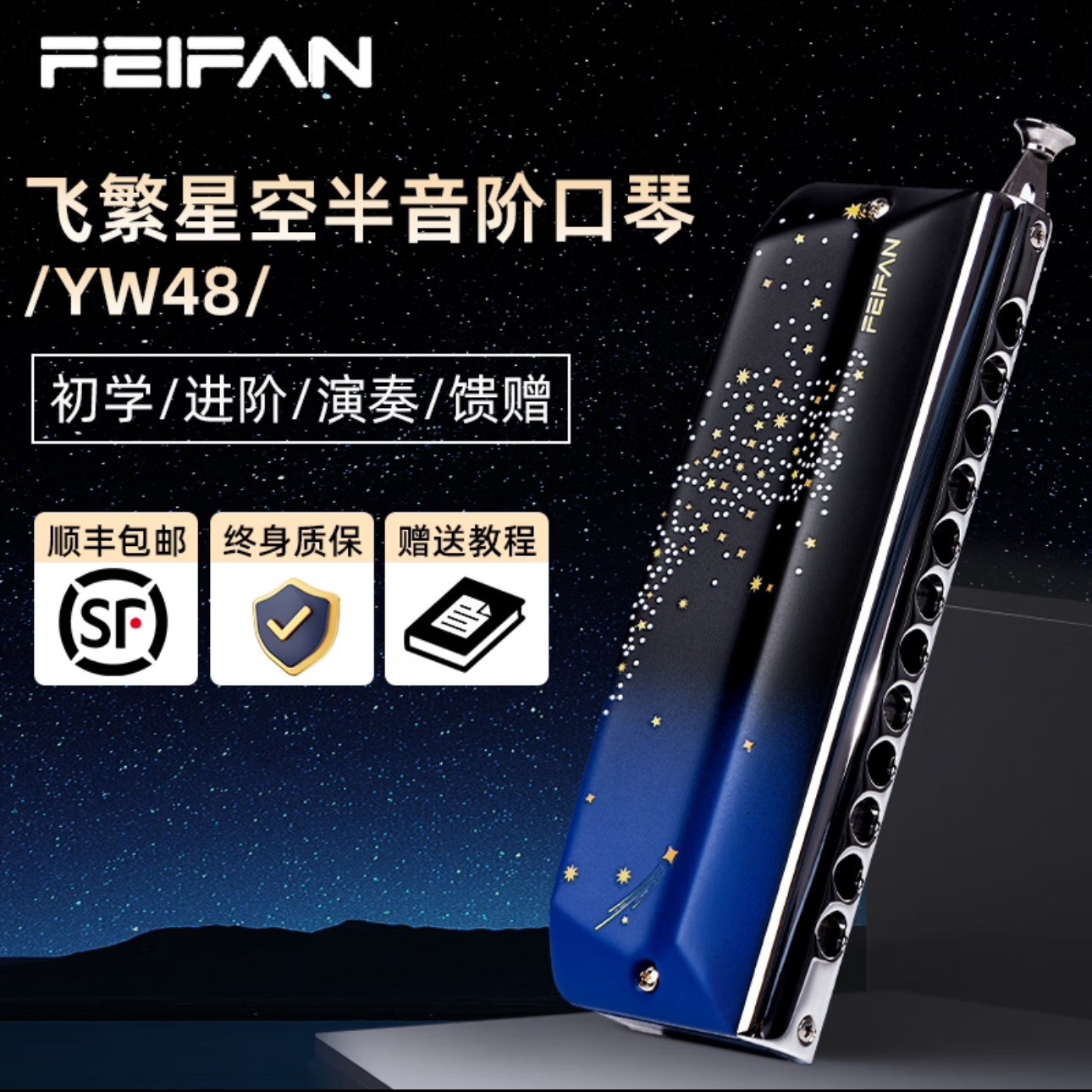 FEIFAN/飞繁仰望星空12孔半音阶口琴YW48专业演奏成人初学者入门