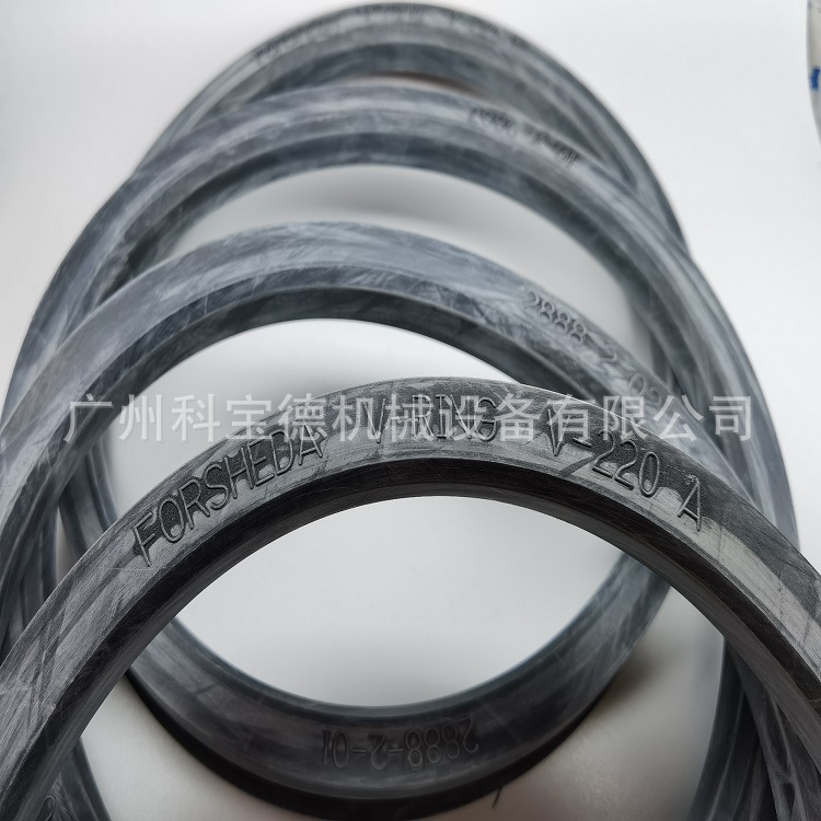 FORSHEDA V-RING V-250A密封圈TWVA02500-N6T50 VAVSVL水封密封件