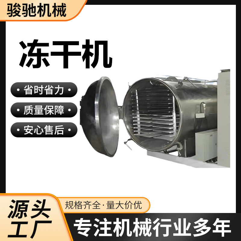 源头厂家冻干机 水果蔬菜冻干流水线 商用大型真空冷冻干燥机