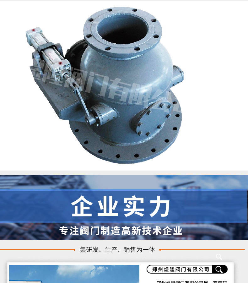 仓泵进料阀阀详情_10