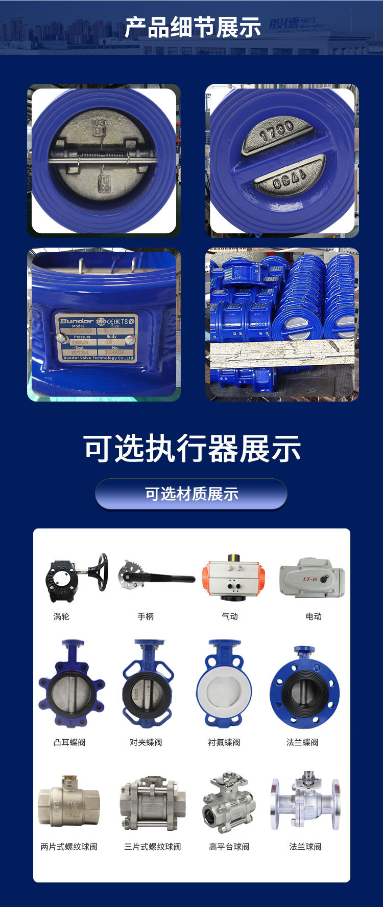 蝶式止回阀详情