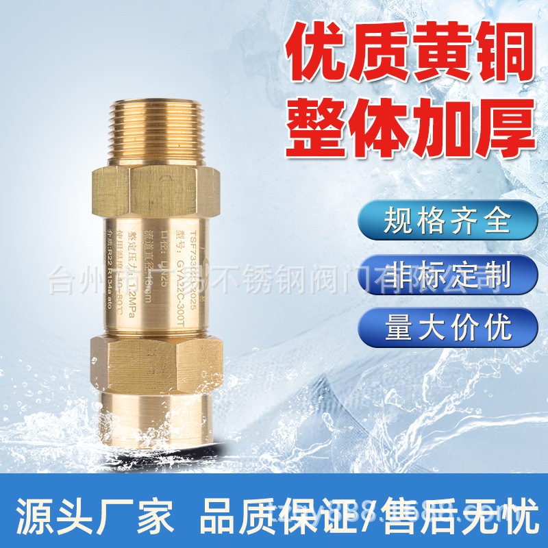 广易安全阀冷冻机专用安全阀GY-22C-300T氟利昂中央空调