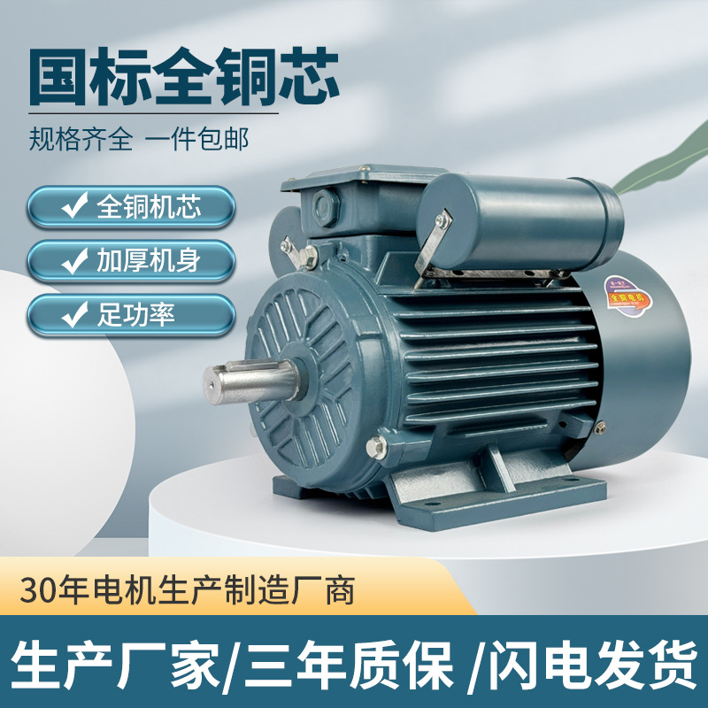 YL100L24-3KW电机大功率全铜国标单相异步电动机厂家3kw单相电机