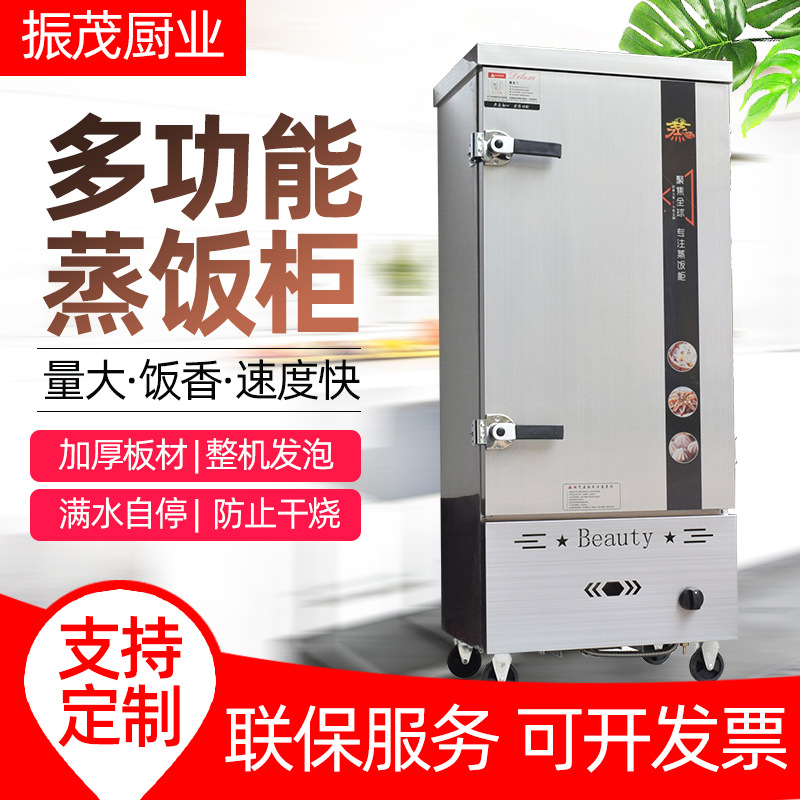 电热燃气蒸饭柜 米饭馒头包子蒸饭车 现货供应单双门多功能蒸饭柜