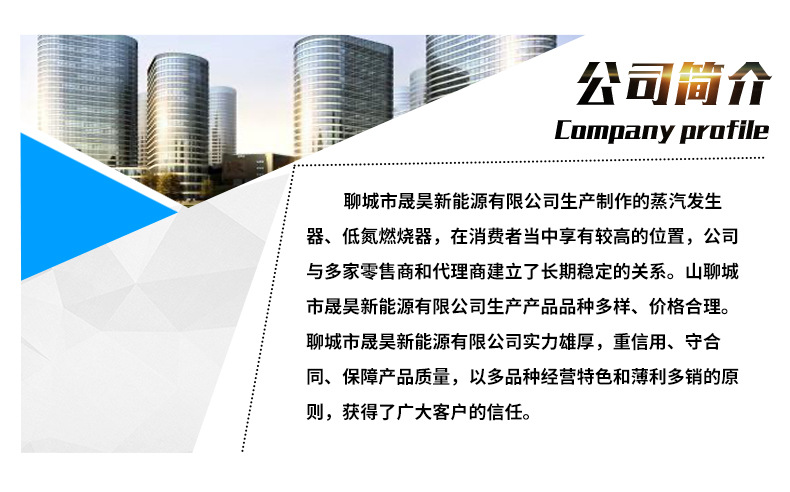 低氮燃烧器_11.jpg