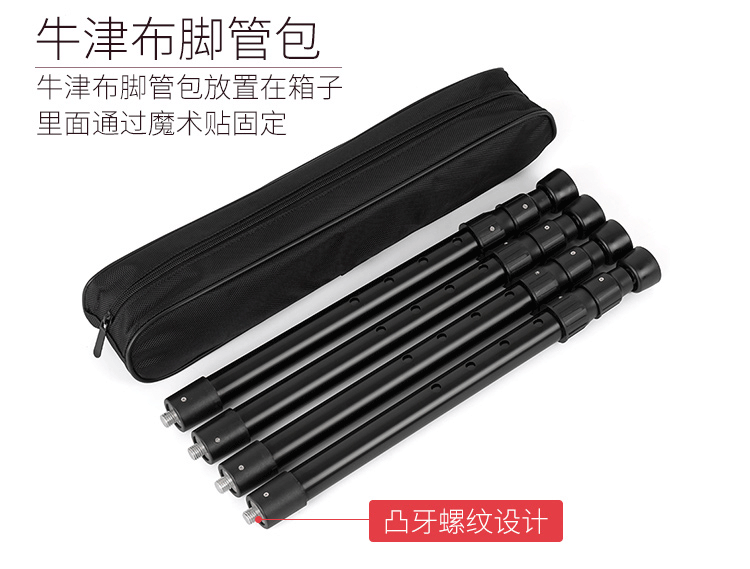TAN-608-B-20201016_09.gif