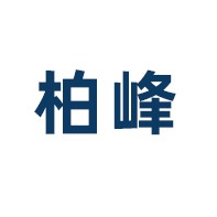 山东柏峰电子科技有限公司 - 公司logo