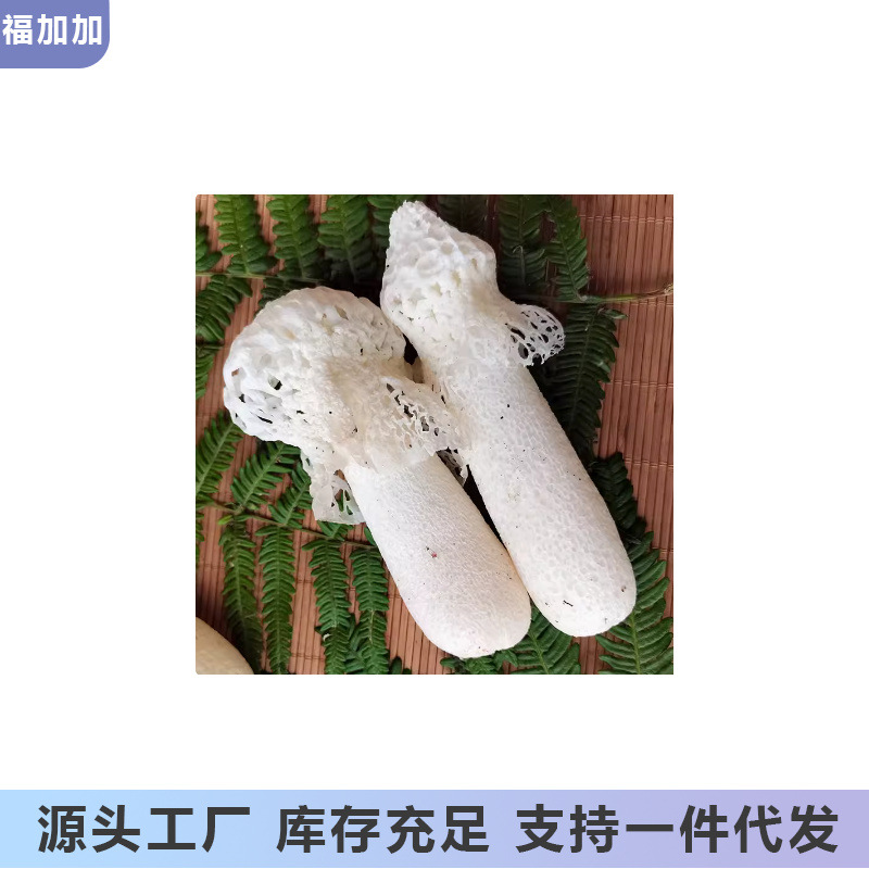 野生竹荪无硫竹笙食用菌干货500g特产煲汤食材23年新货