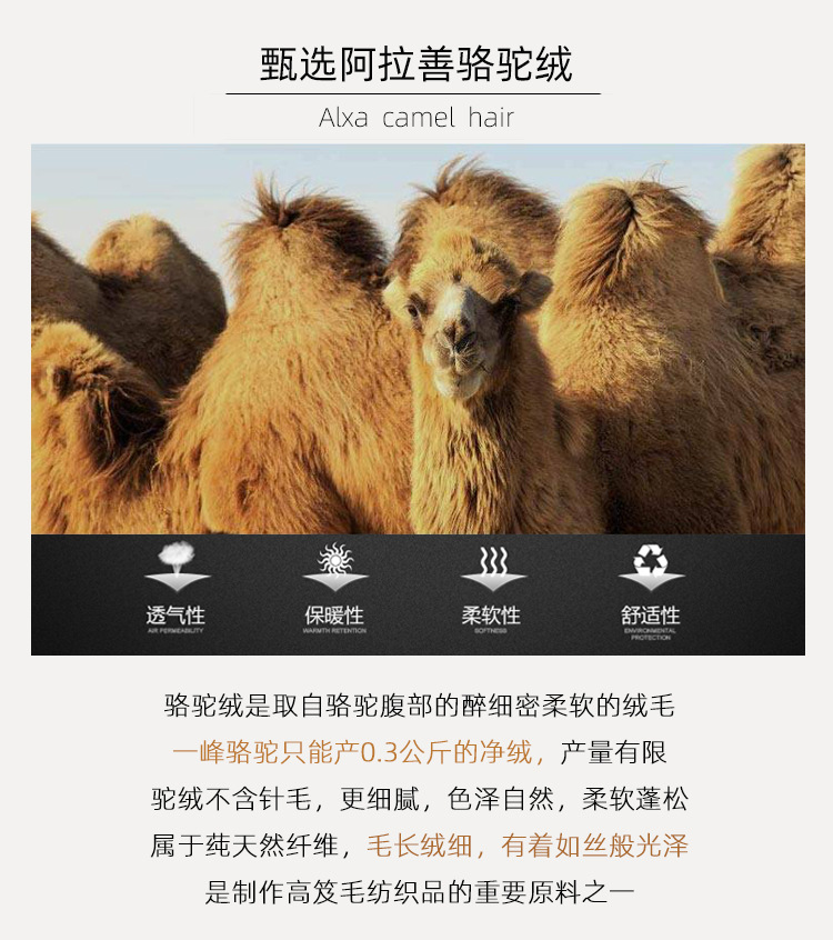 骆驼绒