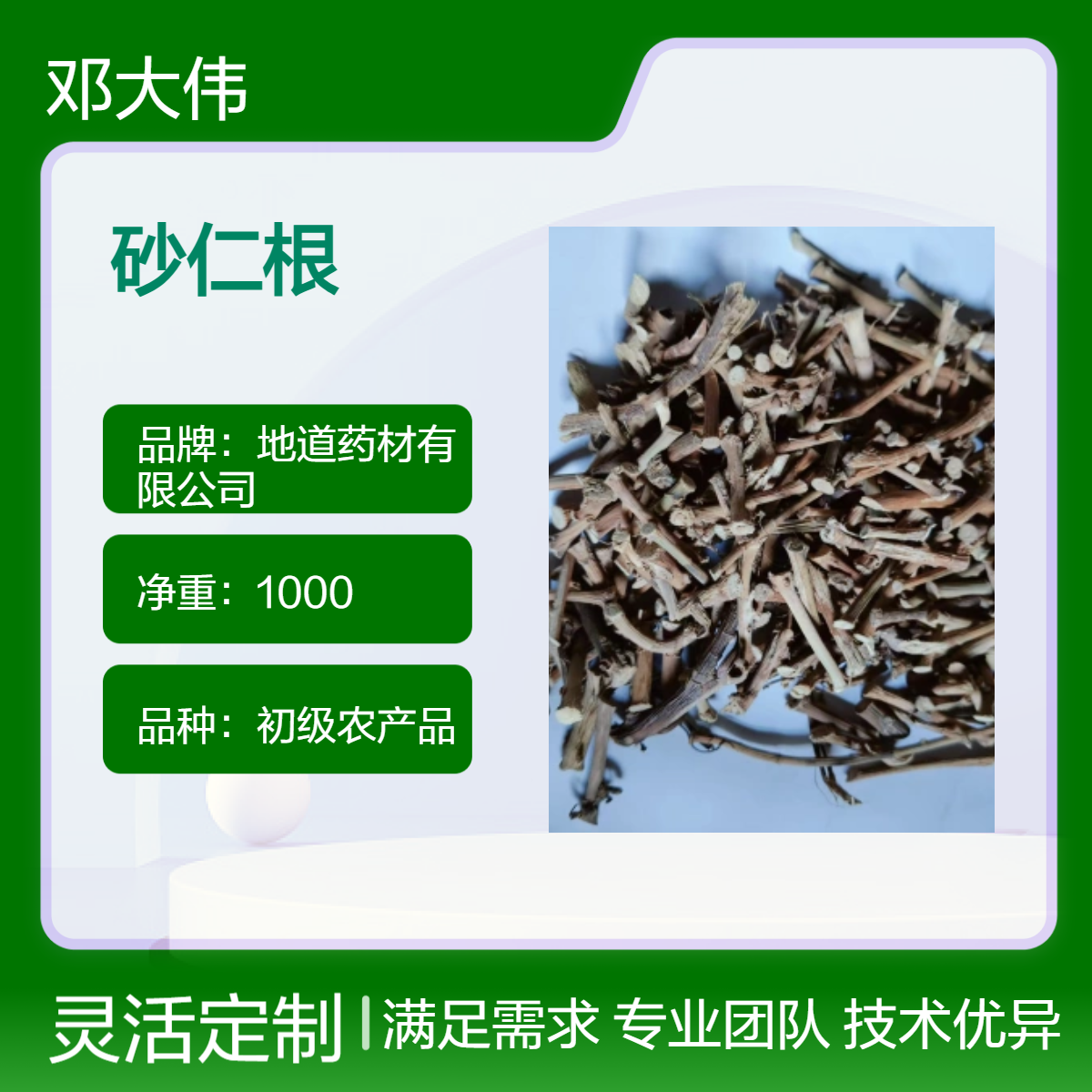 地道药材 砂仁根供应 自然晾晒 产地直售 一件代发