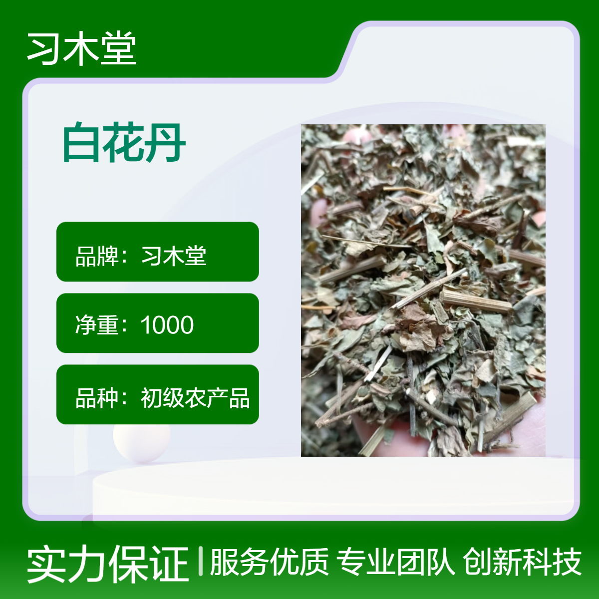 冷背药材 白花丹 精选 无硫 烘干品质 原产地种植 品质保证