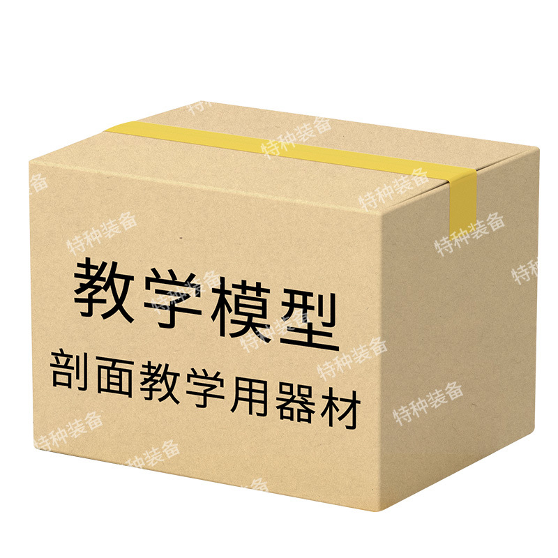 教学模型 剖面教学用器材编配标准