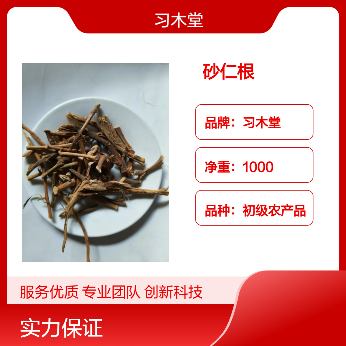 供应中药材砂仁根 砂仁 当季新货 无硫 自然晒干 各种规格
