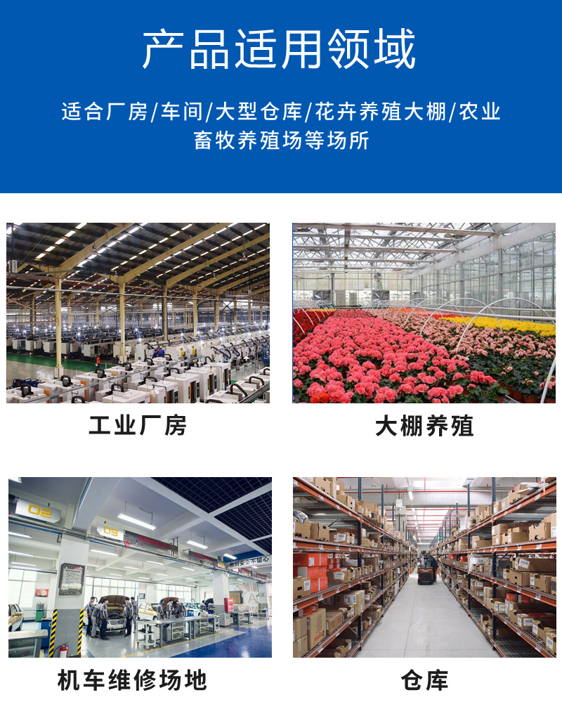 详情12